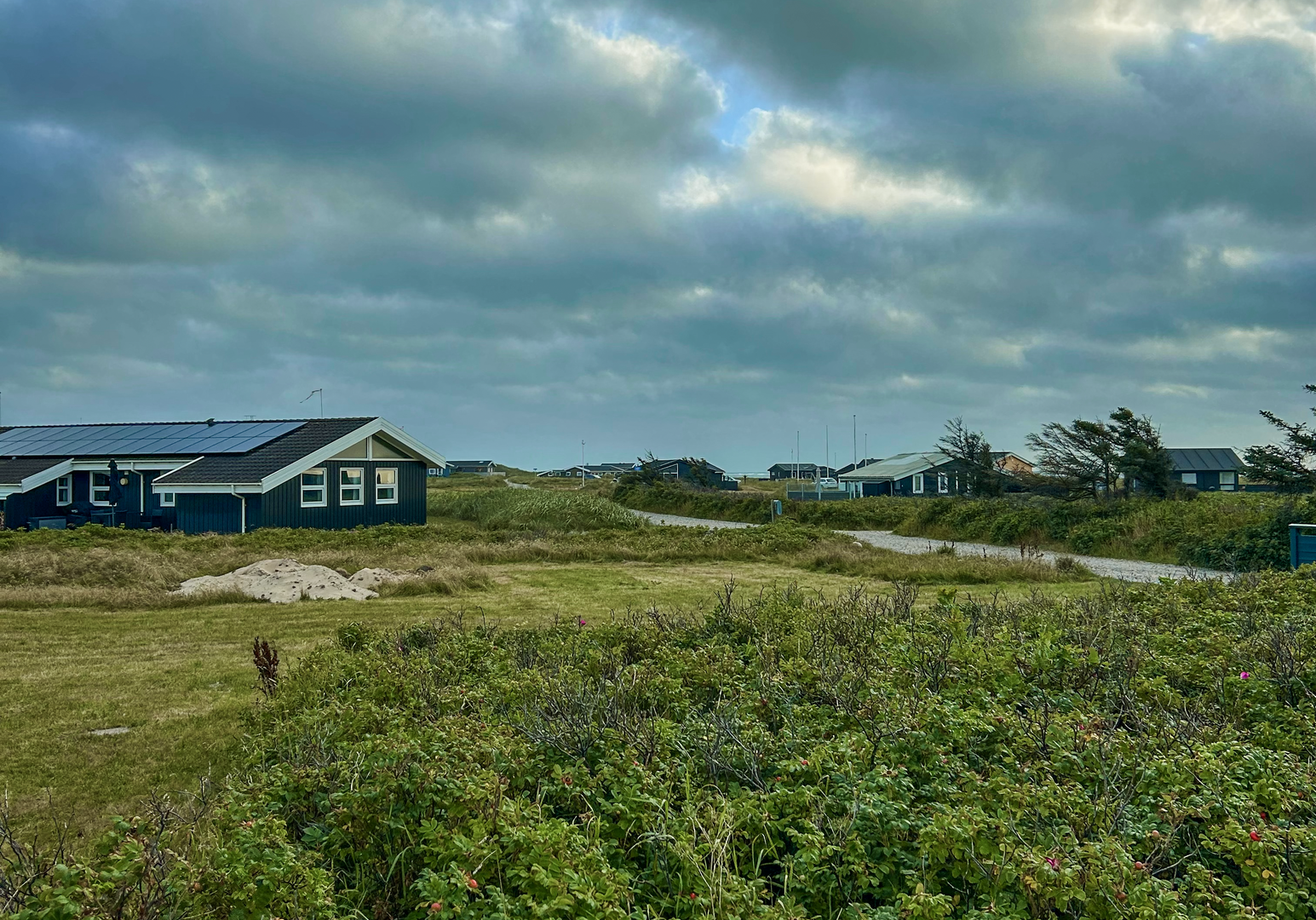 Weite Küstenlandschaft mit grüner Vegetation unterm Himmel mit großen Wolken