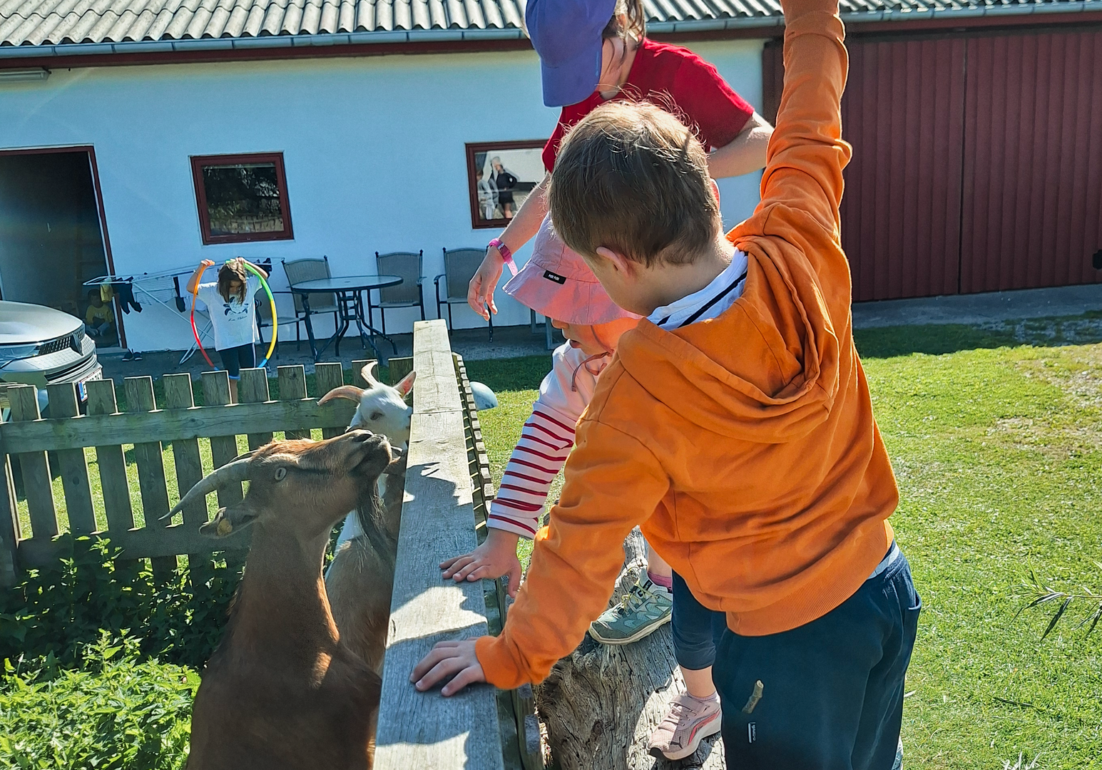 Kinder spielen draußen im Garten und füttern zwei Ziegen