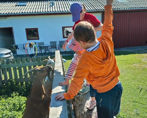 Kinder spielen draußen im Garten und füttern zwei Ziegen