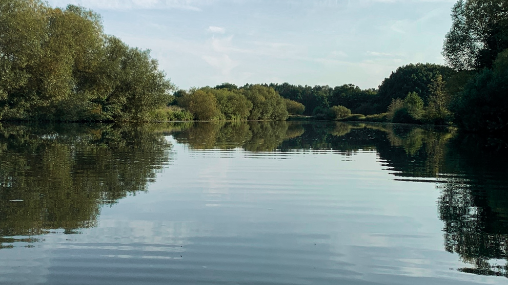 Ruhiger Fluss umgeben von dichtem Grün an beiden Ufern 