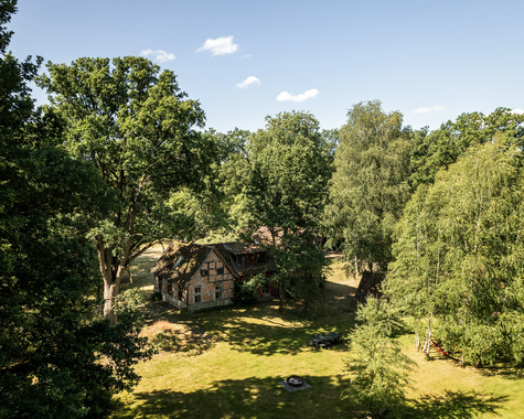 Weitläufige grüne Landschaft mit Bäumen und einem Haus im Hintergrund