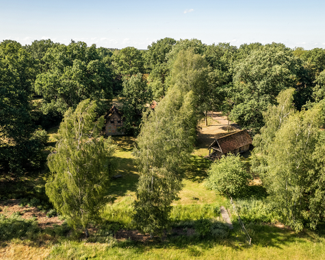 Landschaft mit Wiesen, Bäumen und einzelnen Gebäuden in ruhiger Umgebung