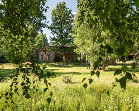 Sonnige Wiese mit hohem Gras vor einem Fachwerkhaus, umgeben von Bäumen