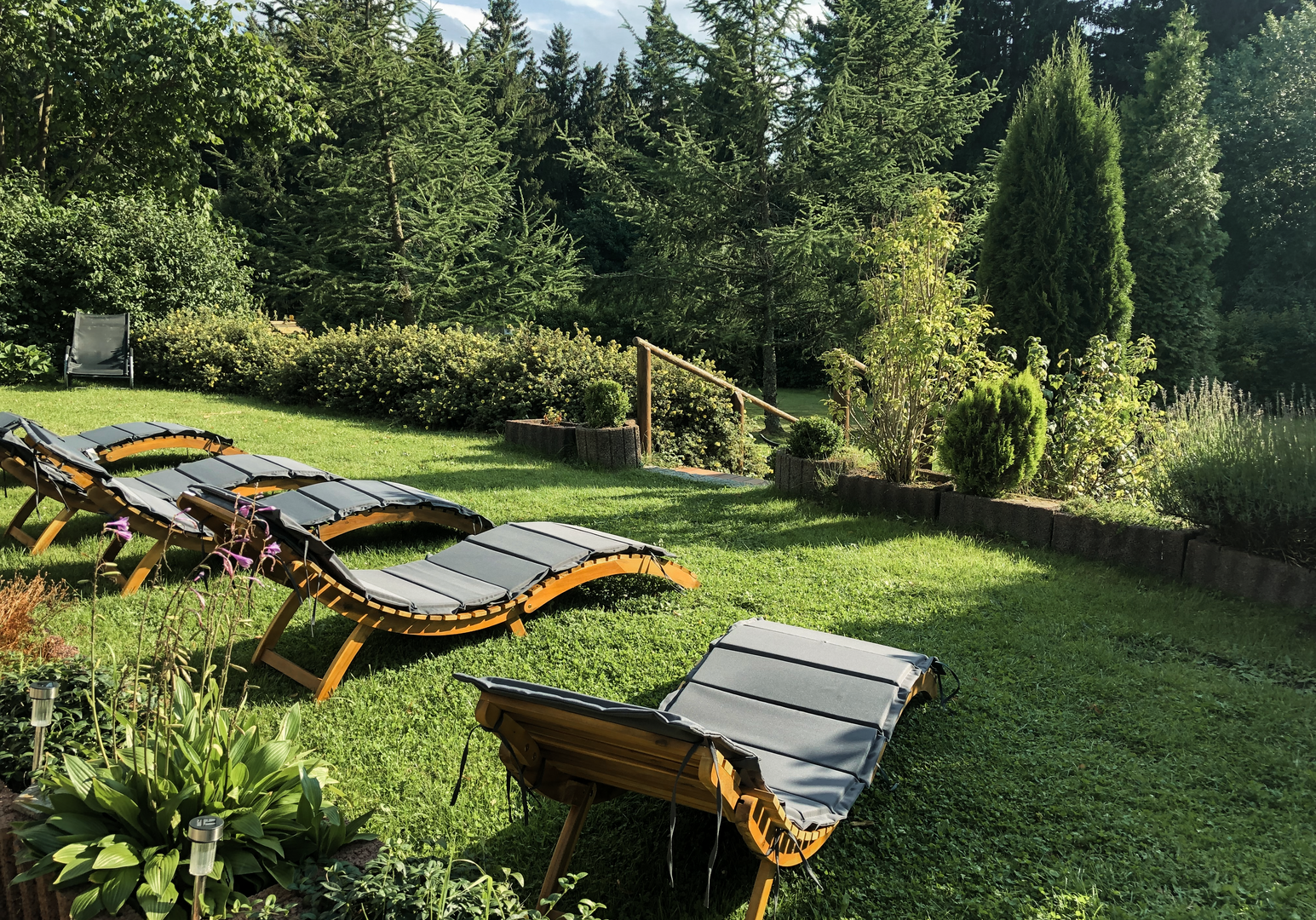 Liegestühle auf einer Wiese mit Blick auf eine grüne Hügellandschaft
