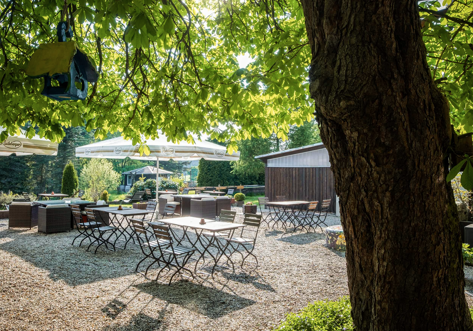 Schattiger Gartenbereich mit Sitzgelegenheiten unter einem großen Baum
