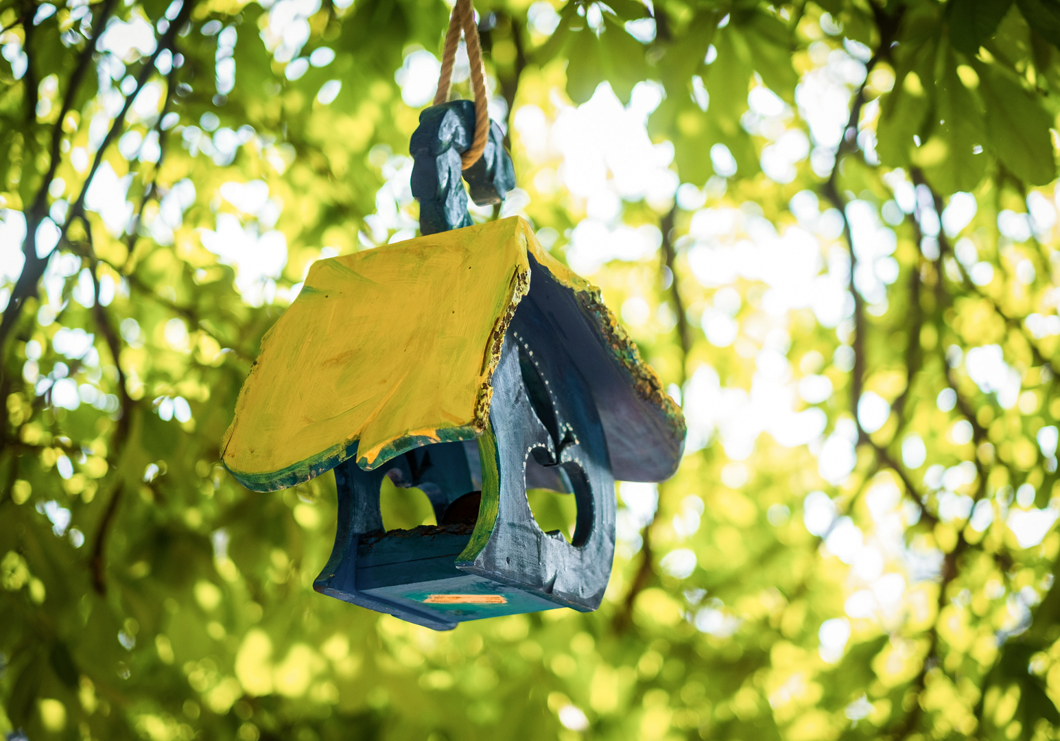 Buntes Vogelhaus hängt in einem Baum zwischen grünen Blättern