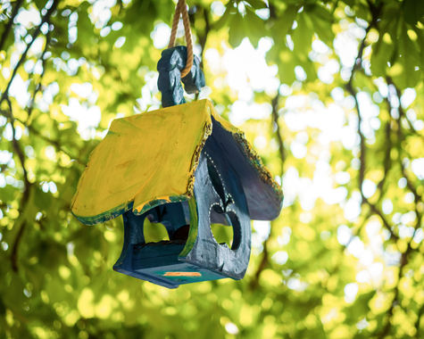 Buntes Vogelhaus hängt in einem Baum zwischen grünen Blättern