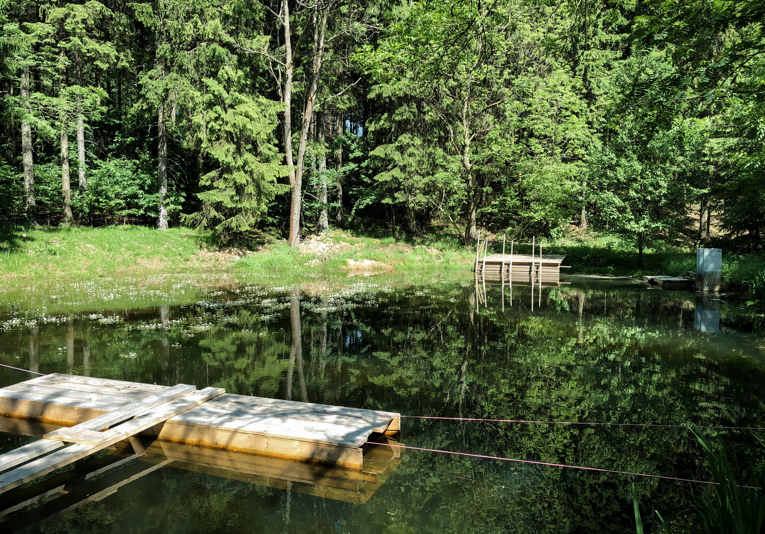 Ruhiger Teich im Wald mit kleinem Steg am Ufer