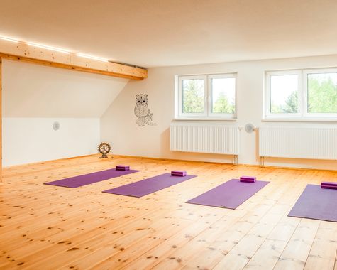 Heller Yogaraum mit Matten auf Holzboden und großen Fenstern