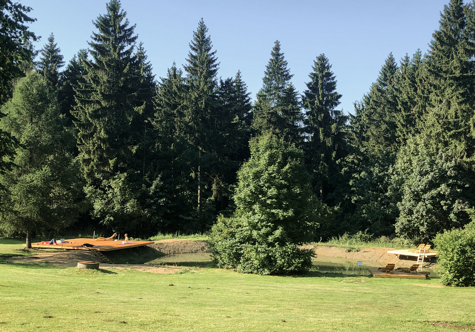 Weitläufige Wiese mit Bäumen am Waldrand mit kleinem See