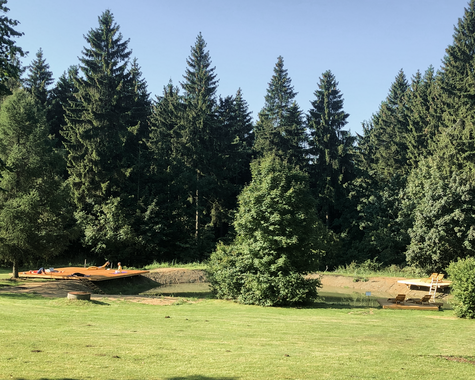 Weitläufige Wiese mit Bäumen am Waldrand mit kleinem See