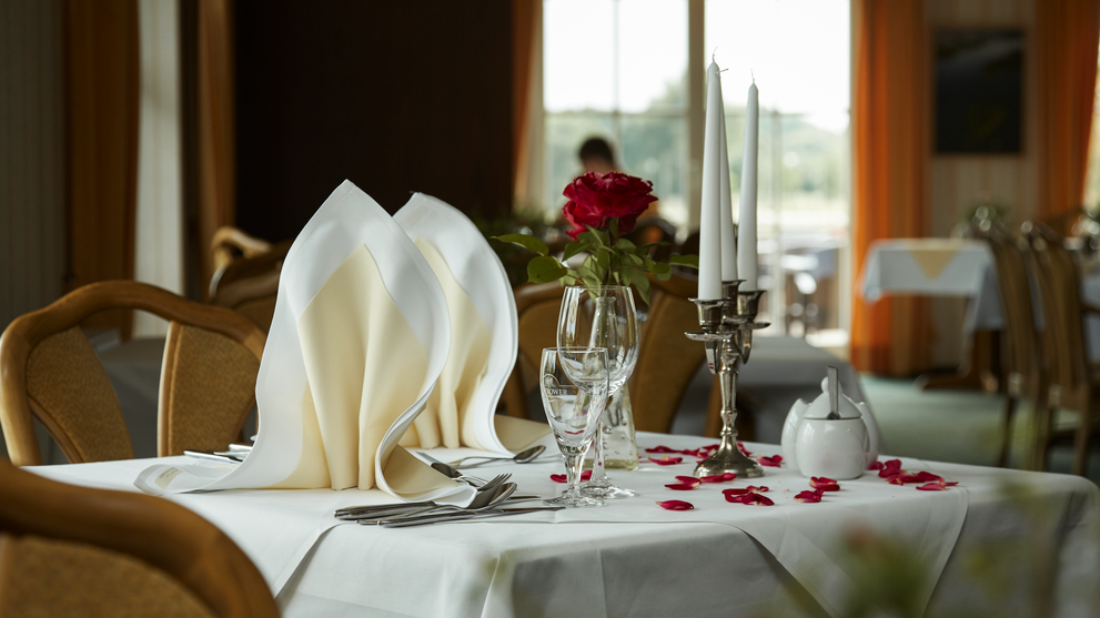 Festlich gedeckter Tisch mit Servietten und Blick in den Garten