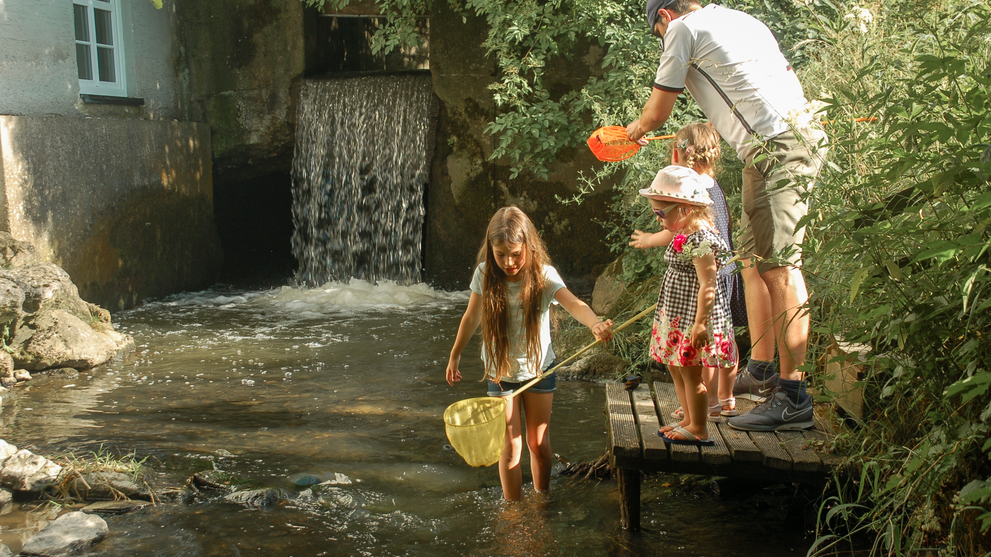 Kinder spielen in einem flachen Bach neben einem kleinen Wasserfall im Grünen