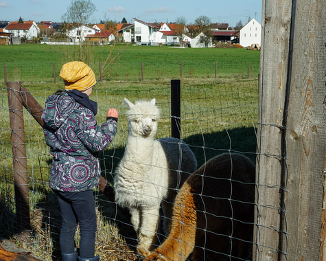 Kind steht an einem Zaun auf einem Bauernhof und schaut zu einem Tier auf der Weide