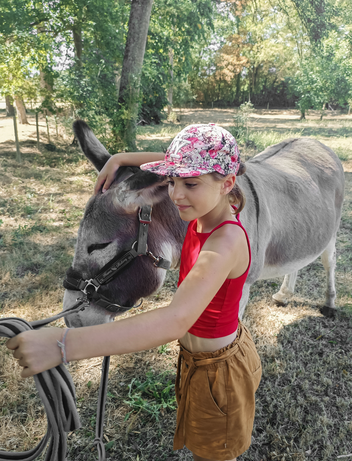 Kind streichelt einen Esel auf einem Bauernhof im Grünen
