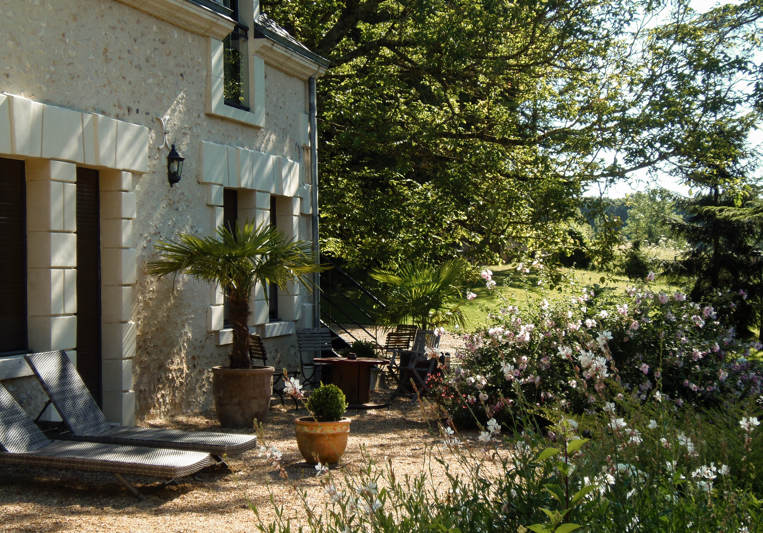 Gemütliche Terrasse mit Sitzbereich und Pflanzen vor einem Ferienhaus