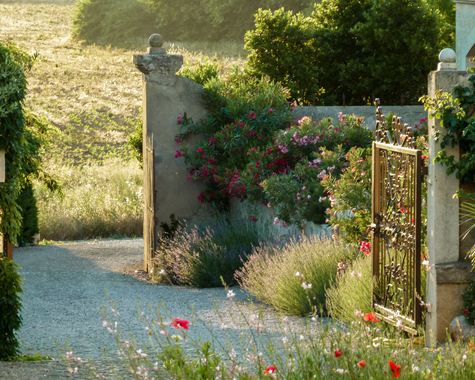 Gartenweg mit blühenden Pflanzen und Steinmauer in warmer Abendstimmung