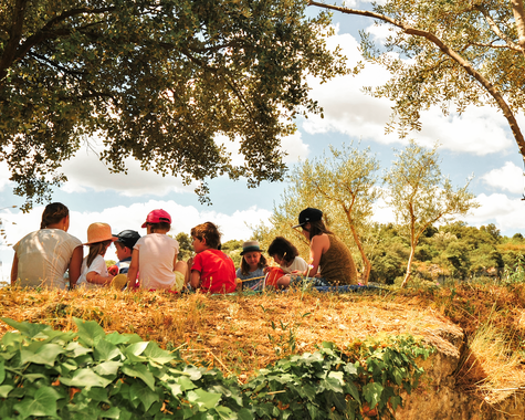 Kinder sitzen gemeinsam im Schatten eines Baumes und schauen in die Landschaft