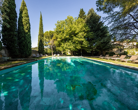 Pool in einem Garten, umgeben von Bäumen und Liegestühlen