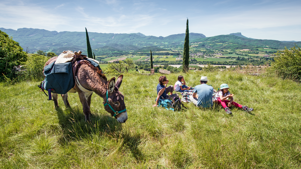Gruppe macht Rast auf einer Wiese mit Esel in hügeliger Landschaft