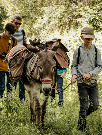 Personen führen einen Esel auf einem schattigen Waldweg