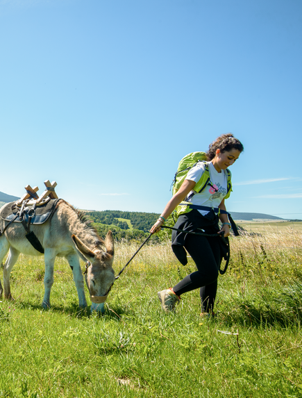 Familie wandert mit Eseln über eine grüne Wiese in hügeliger Landschaft