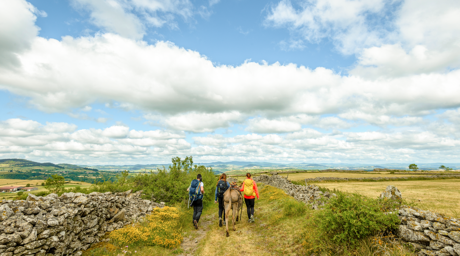 Wandergruppe mit Esel läuft auf einem Weg durch weite Felder unter blauem Himmel
