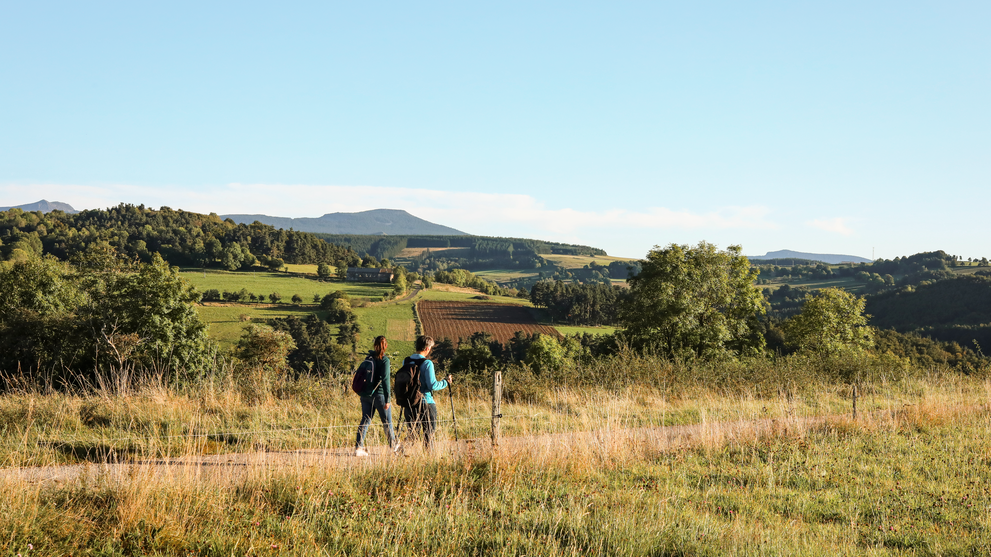 Menschen wandern gemeinsam durch eine offene, leicht hügelige Landschaft