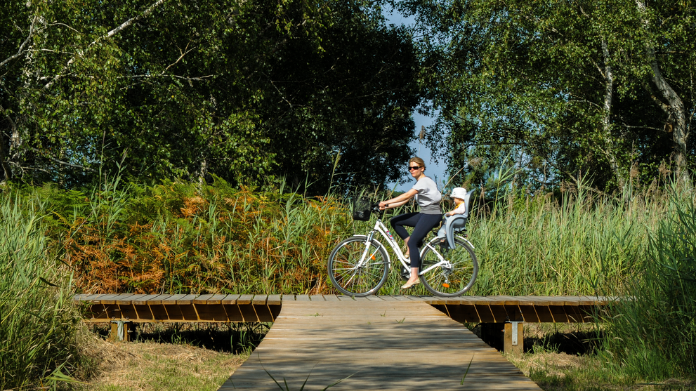 Person fährt mit dem Fahrrad über einen kleinen Holzsteg durch grüne Natur