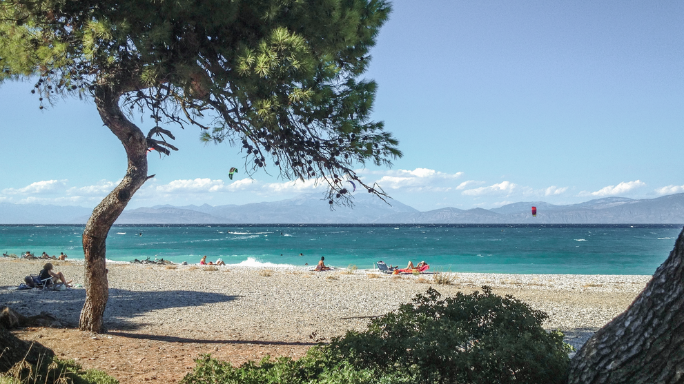 Sandstrand mit Pinien und Blick auf das ruhige Meer