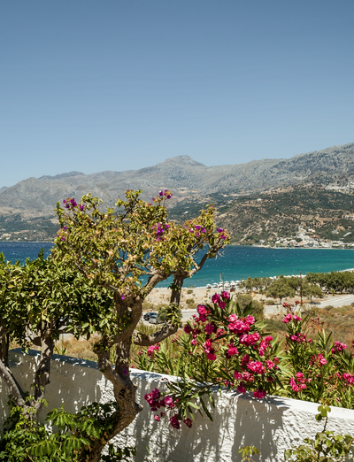 Blühender mediterraner Garten mit Blick auf Bucht und Berge
