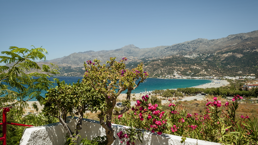 Blühender mediterraner Garten mit Blick auf Bucht und Berge