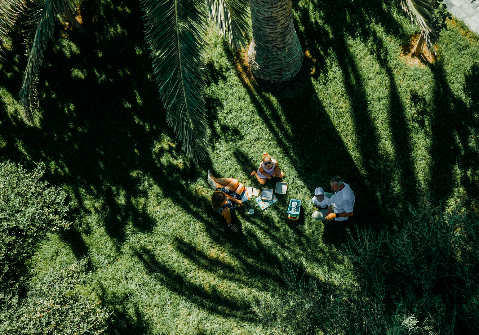Familie picknickt im Schatten von Palmen auf einer Wiese 