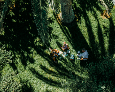 Familie picknickt im Schatten von Palmen auf einer Wiese 