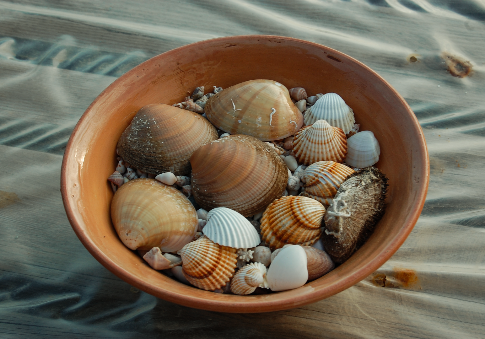 Holzschale mit verschiedenen Muscheln auf hellem Untergrund.