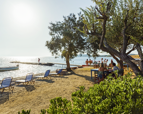 Küstenabschnitt mit Bäumen, Sonnenschirmen und Blick auf das Meer.