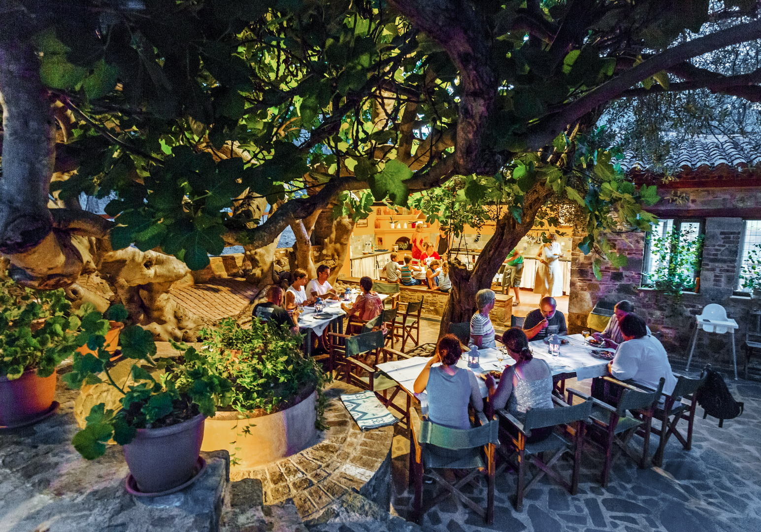 Außenbereich eines Restaurants oder Gartens mit beleuchteten Tischen unter Bäumen am Abend.