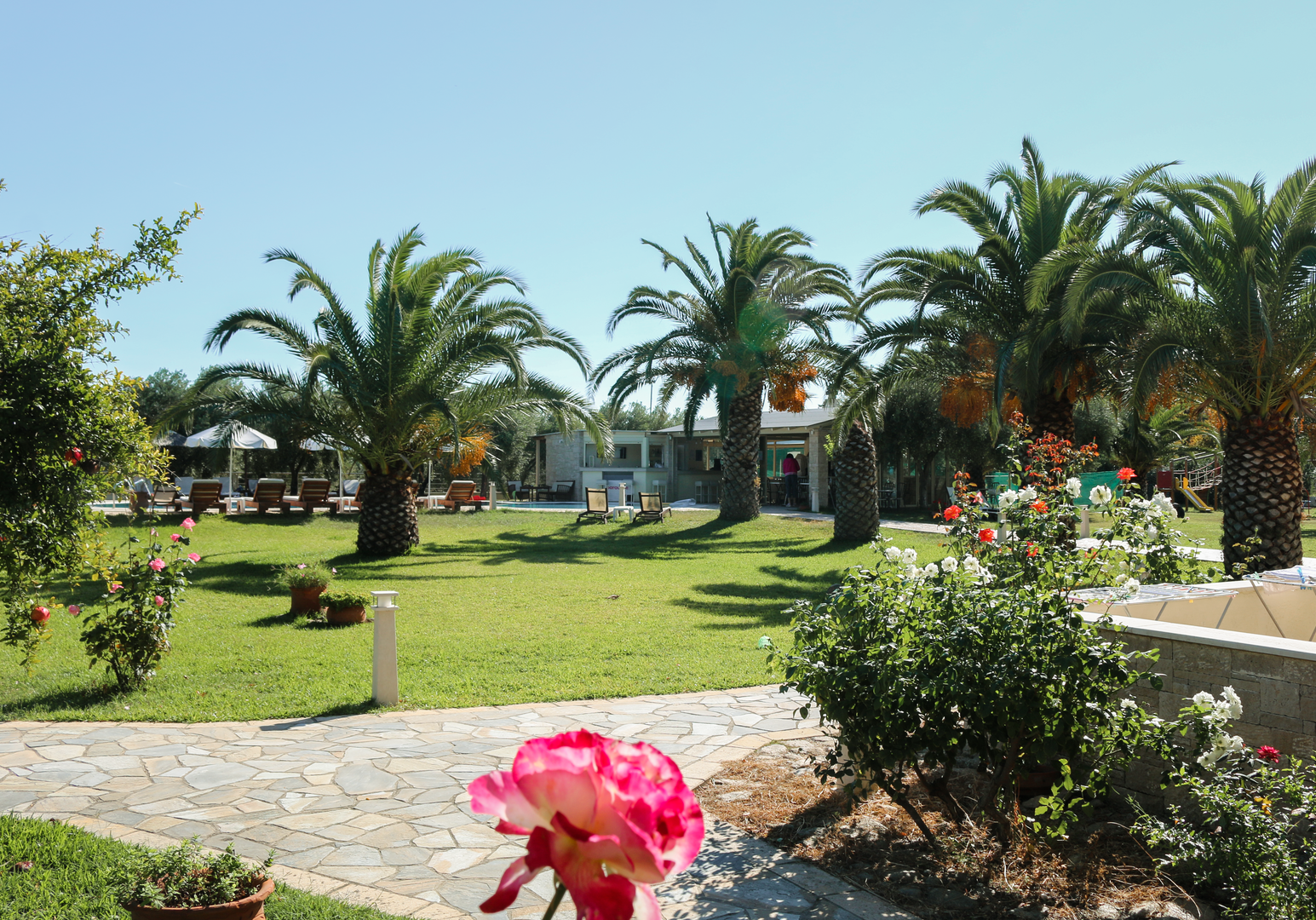 Große Gartenanlage mit Palmen, Rasenflächen und blühenden Sträuchern.