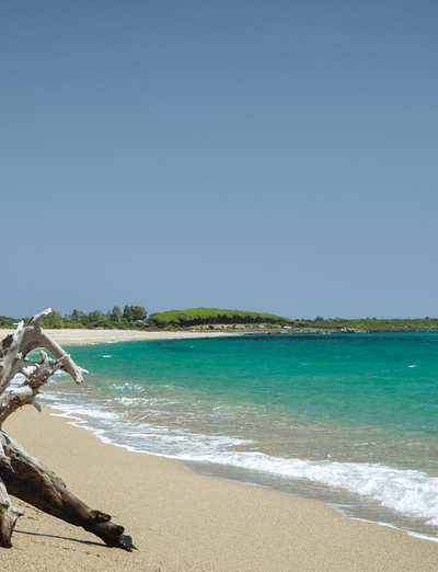 Sandstrand mit Treibholz und türkisfarbenem Meer.