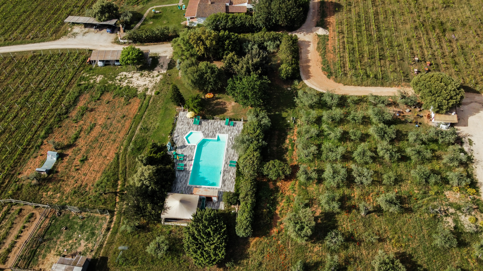 Luftaufnahme einer Ferienanlage mit Pool, Gebäuden und Weinbergen.