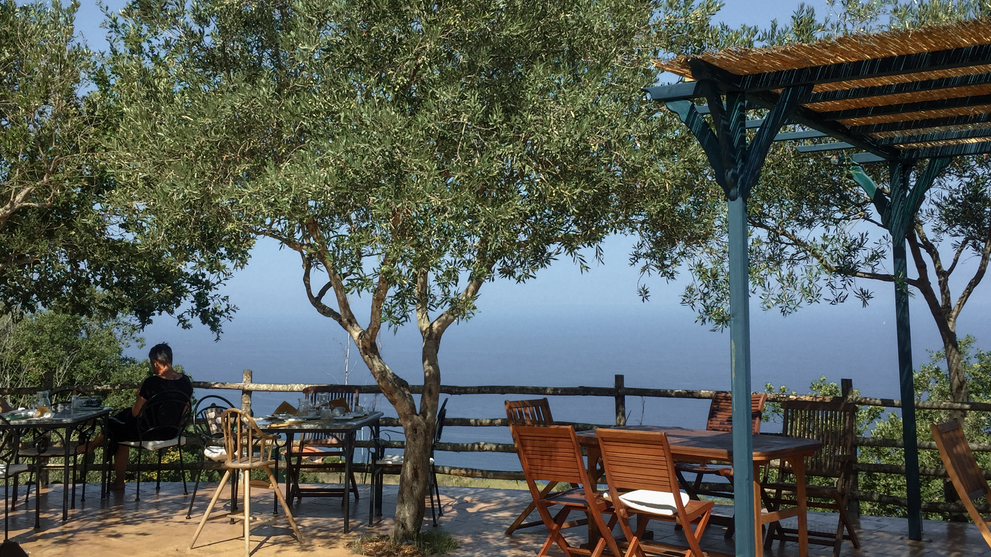 Terrasse unter Olivenbäumen mit Meerblick