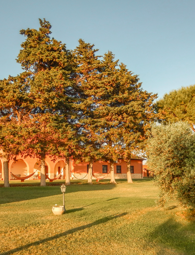 Großer Garten mit viel Grün und Bäumen 