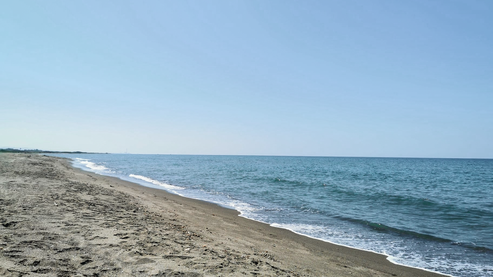 Langer Sandstrand mit Blick auf das ruhige Meer.