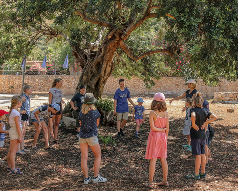 Kinder und Erwachsene versammeln sich unter einem großen Baum auf dem Gelände der Ferienanlage.