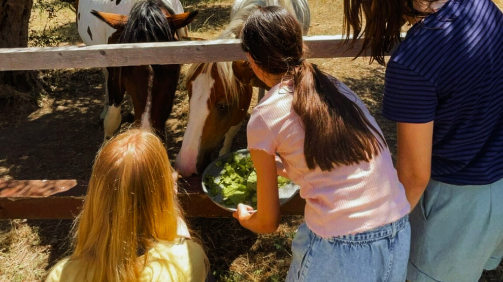 Familie nimmt an einer gemeinsamen Aktivität im Garten der Ferienanlage teil.
