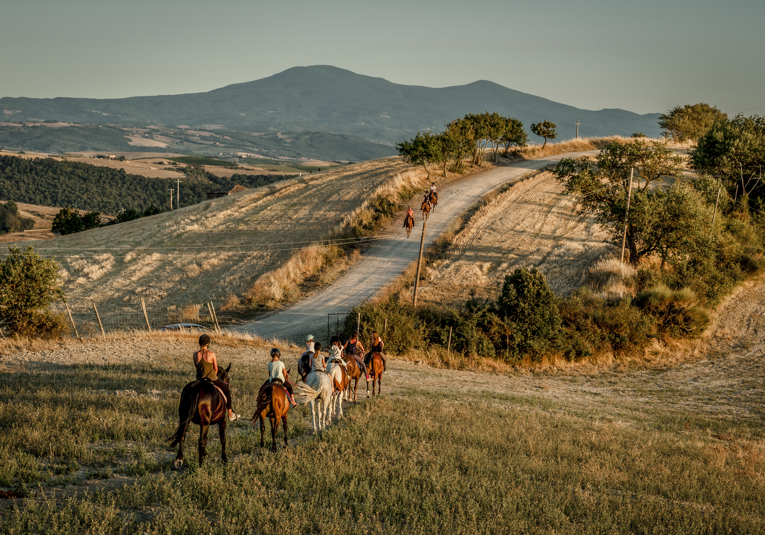 Reitgruppe unterwegs auf einem Weg durch die sanfte Hügellandschaft.