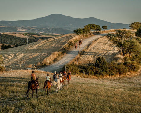 Reitgruppe unterwegs auf einem Weg durch die sanfte Hügellandschaft.