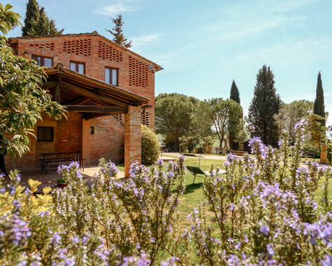 Traditionelles Landhaus mit Terrasse, Garten und mediterraner Vegetation.