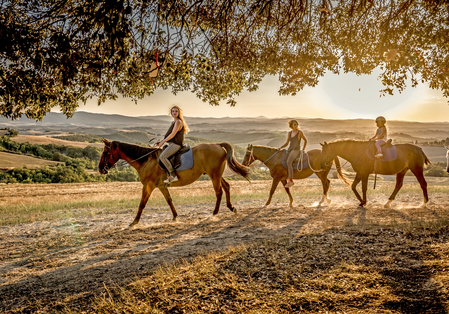 Reitgruppe unterwegs auf einem Weg durch die Landschaft im warmen Licht der untergehenden Sonne.
