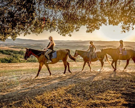Reitgruppe unterwegs auf einem Weg durch die Landschaft im warmen Licht der untergehenden Sonne.